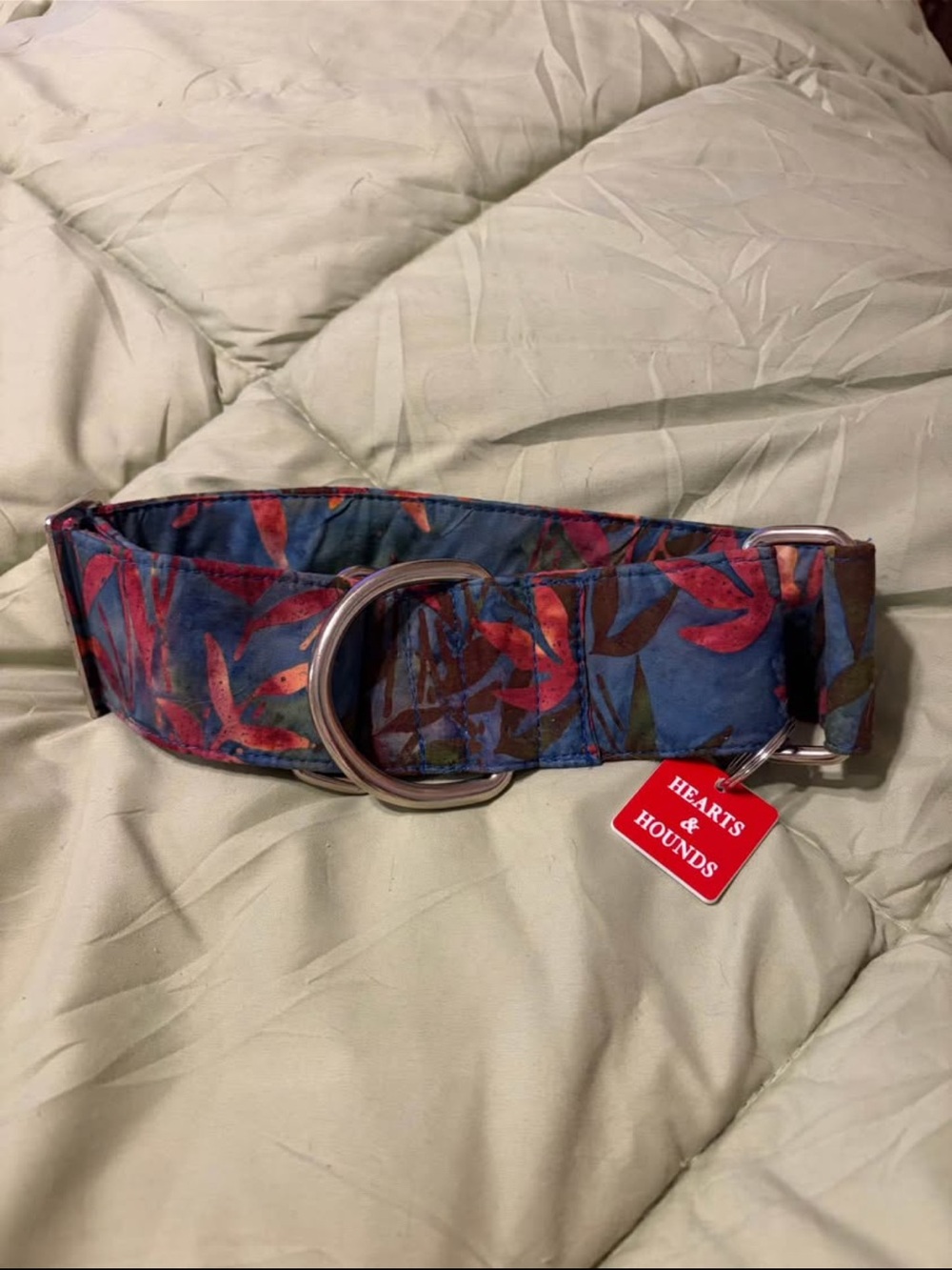 Two 2” martingale dog collars and 4’ leash. 14-18” neck. Greyhound or whippet - Picture 6 of 9
